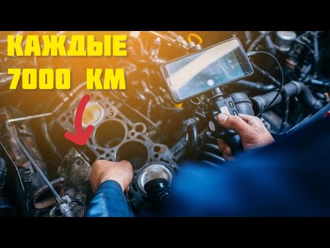 Видео: 500 000 км БЕЗ Капиталки! Секрет не в Движке, а в ЭТИХ 8 Привычках