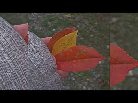 Видео: Мари Краймбрери - случилась осень (speed up)