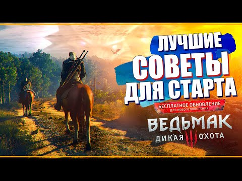 Видео: 10 ЛУЧШИХ советов для прохождения обновленного Ведьмак 3 некстген | Лучший старт для новичков