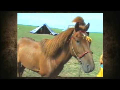 Видео: Их хурд I (ikh khurd I) 1998