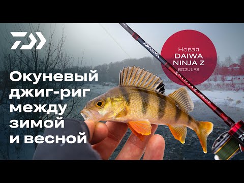 Видео: Окуневый джиг-риг между зимой и весной. Новая Daiwa Ninja Z 602ULFS