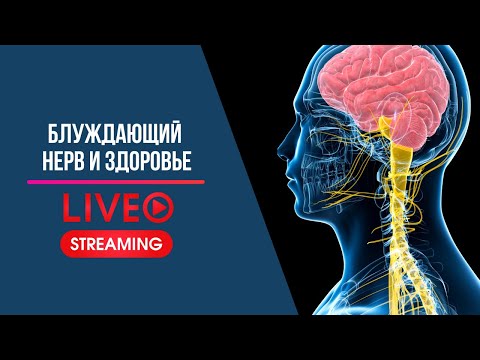 Видео: Блуждающий нерв и упражнения