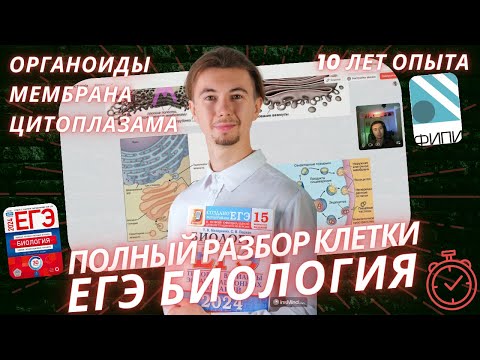 Видео: Разбор темы Строение Клетки ( Органоиды, мембрана, цитоплазма ). Цитология ЕГЭ Биология