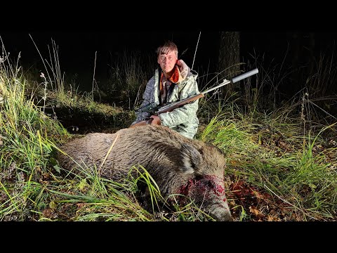 Видео: Точный выстрел. Охота на кабана, с вышки. Смотреть до конца. VENOX PATRIOT 2.0 LRF. Ночная охота.