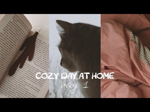 Видео: тихий, домашний влог