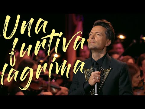 Видео: Антон Сергеев — «Una furtiva lagrima»