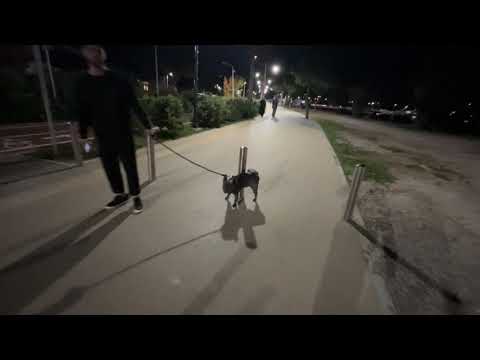 Видео: ✔️Деменция и Мы. Слабонервным не смотреть!