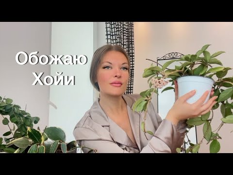 Видео: Самые красивые Хойи🌿МОЯ КОЛЛЕКЦИЯ#хойя #hoyaplant #люблюцветы 
