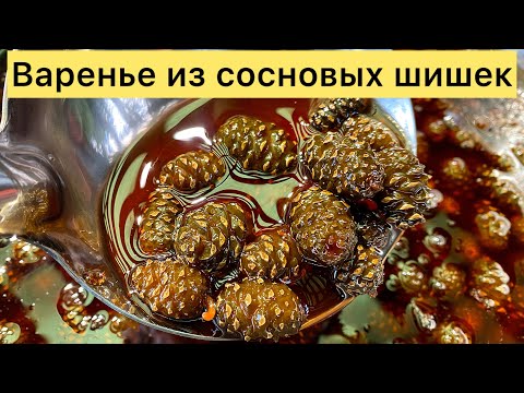 Видео: Один в лесной избушке.Нарвал сосновые шишки и сварил варенье. Варенье из СОСНОВЫХ ШИШЕК!!!