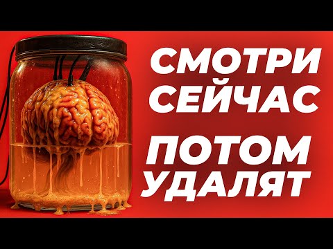 Видео: Зачем ты родился? Ответ есть. Но ты пожалеешь, что узнал