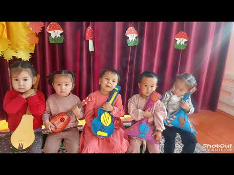 Видео: 23 октября 2025 г.