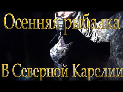 Видео: Отдых и рыбалка в Северной Карелии. Осень 2020. Часть 2. Подвела снасть. Встречаем первый снег.