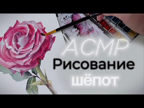 Видео: АСМР 🎧 шёпот🎨🌹Рисование розы акварелью
