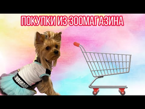 Видео: Покупки из зоомагазина // Амуниция waudog // Одежда и другое // Конкурс