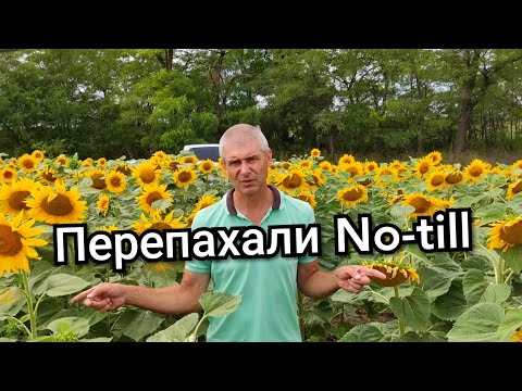 Видео: Перепахали Ноутильное поле: вот что получилось.