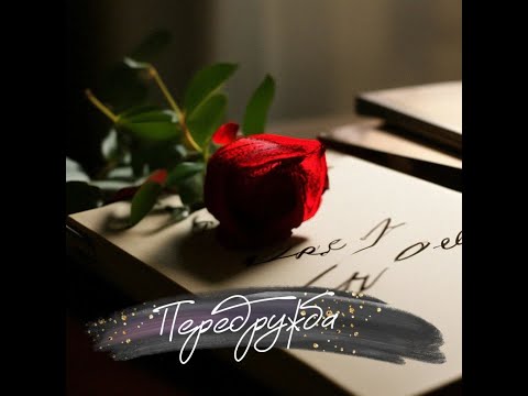 Видео: Передружба