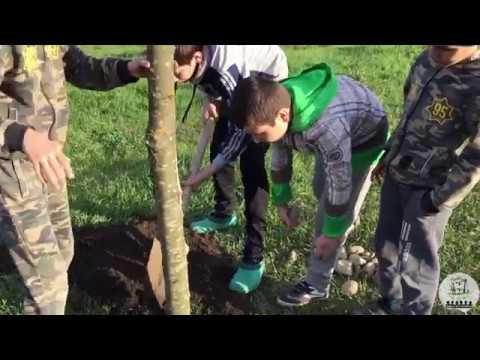 Видео: Самодельное футбольное поле/Буьрках Ловзар!