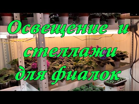Видео: Освещение и стеллажи для фиалок