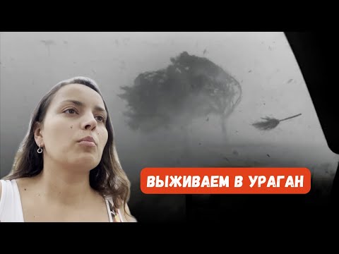 Видео: Пережили ураган Idalia во Флориде: последствия, как это было? Как в США готовятся к ураганам. Влог