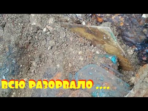 Видео: ВОТ ЭТО НАХОДКА В ЛЕСУ. ЕЕ ВСЮ РАЗОРВАЛО .