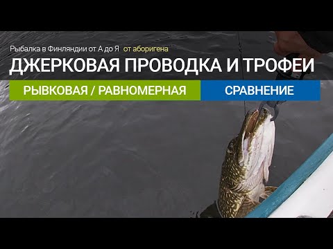 Видео: Проводка джерков, сравнение, много трофейной щуки  - рыбалка в Финляндии