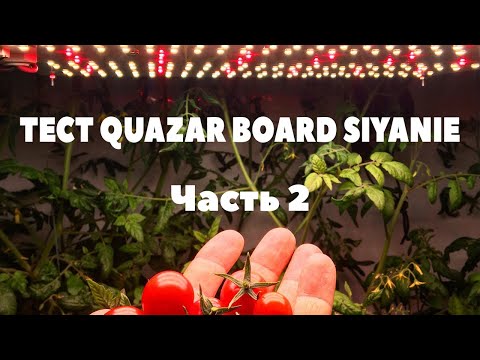 Видео: #20 Тест Quazar Board Siyanie ч. 2 / Проверяем урожай нитратомером GreenTest / Mr.GrowChannel