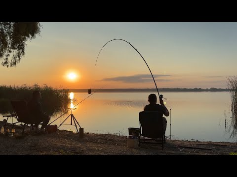 Видео: 🐠🐟 КЕМПИНГ c ФИДЕРОМ в ЧЕРНОМ ЛЕСУ на ПЕЧЕНЕГАХ / 2 ЧАСТЬ 🐠🐟