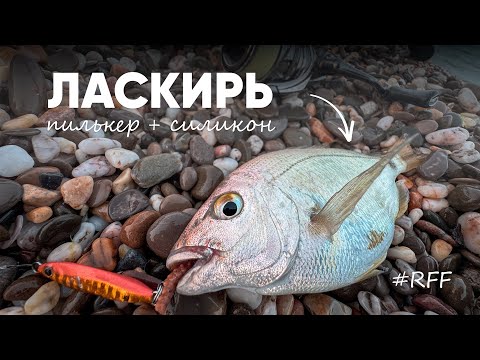 Видео: Ловлю морского карася (ласкирь) на пилькер + силикон. #рокфишинг рыбалка на черном море.