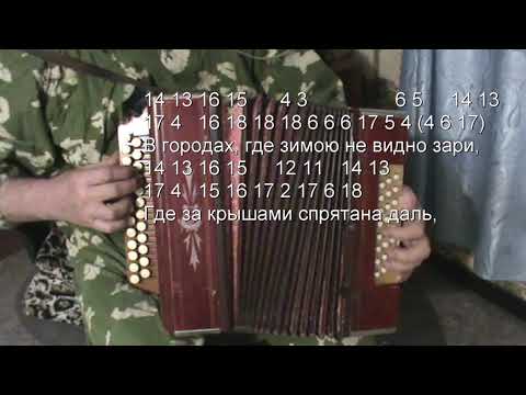 Видео: Городские цветы с нотами в цифрах