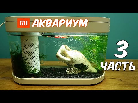 Видео: Аквариум XIAOMI Часть 3. Креветки, Растения и новый живой корм! alex boyko