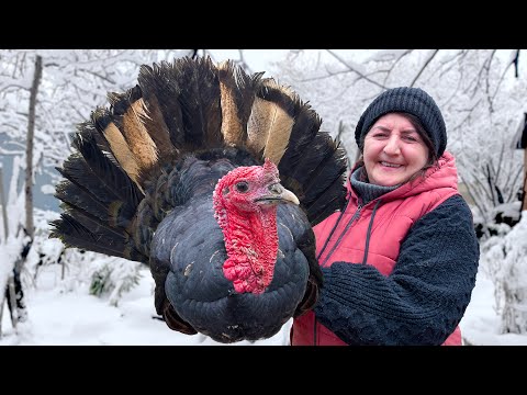 Видео: Рецепт Сочной Жареной Индейки по-Бабушкински: Откройте для Себя Традиционное Азербайджанское Блюдо!