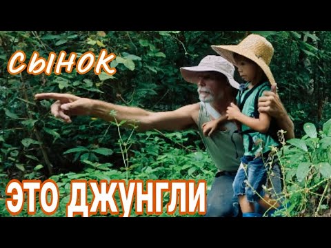 Видео: бамбуковый чай