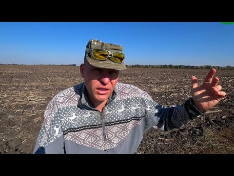 Видео: Я тут находил старую монету. Находка просто лежала сверху