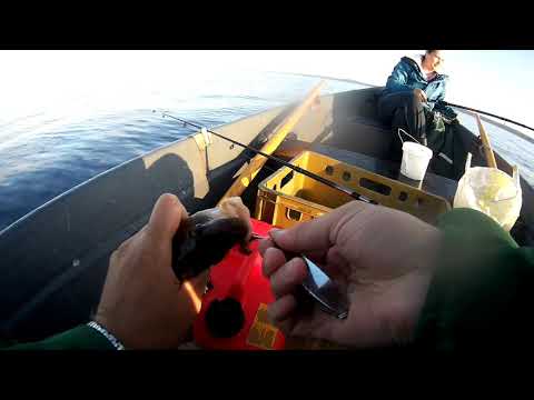 Видео: Рыбалка на Белом Море