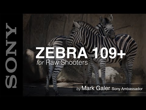 Видео: Zebra 109+ для фотографов, использующих Sony Raw