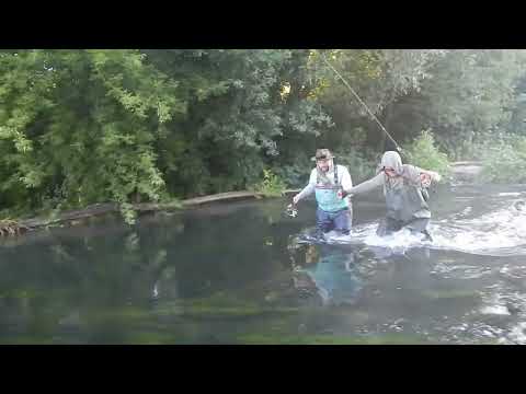 Видео: В поисках голавля, на речке Красивая Меча, июль, 2024