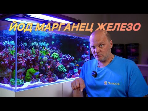 Видео: ЭТИ МИКРОЭЛЕМЕНТЫ НУЖНЫ ТВОИМ КОРАЛЛАМ