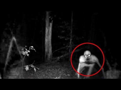 Видео: Вызов Духов - Рейк (Rake) и услышали его вой (ШОК) / Raising Spirits "Rake"