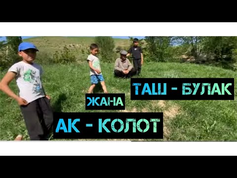 Видео: Камышты жей турган балыктар... Семиз -Кол.