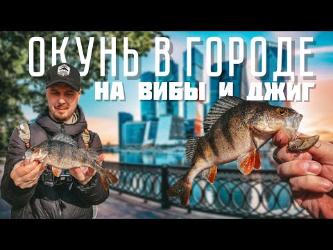 Видео: ОКУНЬ НА ДЖИГ И ВИБЫ! Рыбалка в городе. СТРИТФИШИНГ. КТО ловится в ЦЕНТРЕ МОСКВЫ?