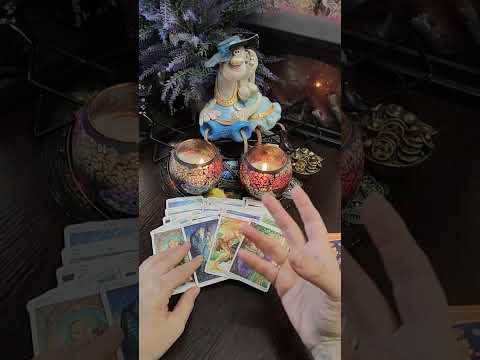 Видео: Кто ""приползет" к вам 🫂🔥🥴