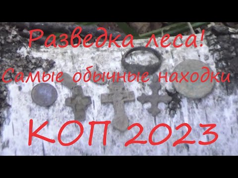 Видео: Поиск в весеннем лесу, Обычные лесные находки  от 14 да 17 веков!