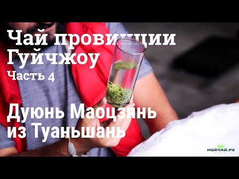 Видео: Чай Мао Цзедуна. Дуюнь Маоцзянь из Туаньшань. Чай из Гуйчжоу, часть 4