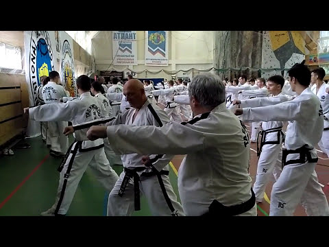 Видео: Часть7 Таеквон-До ИТФ Семинар Jurek Jedut Jaroslav Suska 2017 Taekwon-Do ITF Seminar