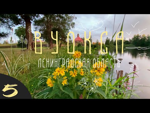 Видео: Озеро Вуокса. Часть 5. Водный поход по озерам ленинградской области