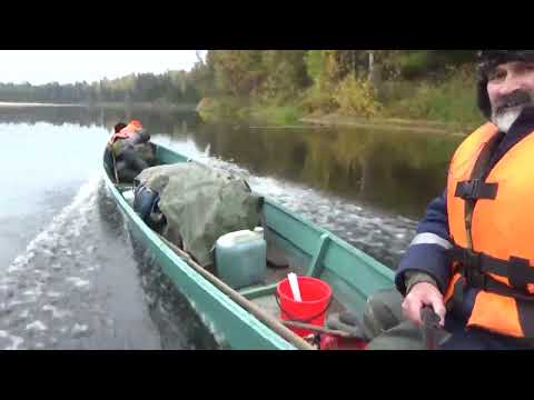 Видео: Сапоги, собака, тайга #1