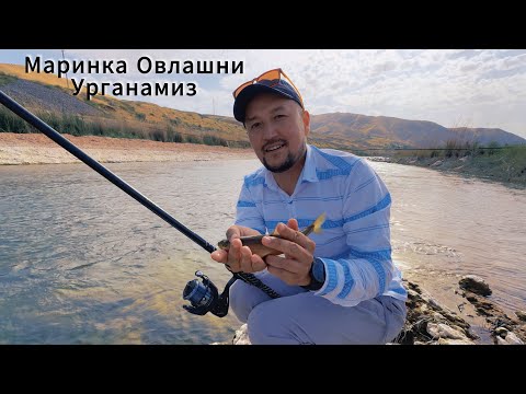 Видео: Зериктингми Унда бу видео сен учун. (Маринка Овлаш Сирлари)