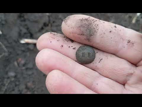 Видео: 19 сентября 2025 г.