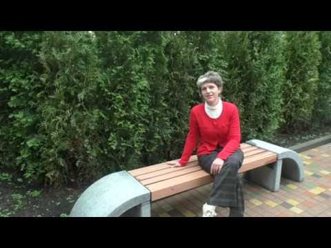 Видео: Туя западная Сажаю живую изгородь Сбывается еще одна садовая мечта!!!