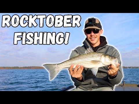 Видео: Ловля полосатого окуня в Чесапикском заливе! | ROCKTOBER